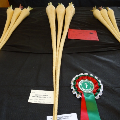 Picture of Parsnip Victor F1